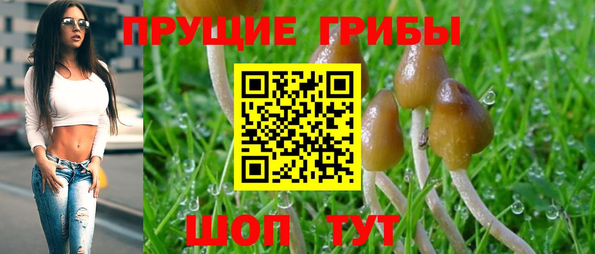 Галлюциногенные грибы MAGIC MUSHROOMS  Вход с VPN  Псилоцибиновые грибы Cubensis  Минеральные Воды 